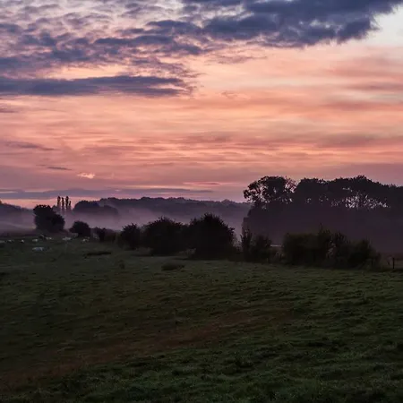 Vakantieboerderij Ferme Le Bleuet Feriehus Ohey